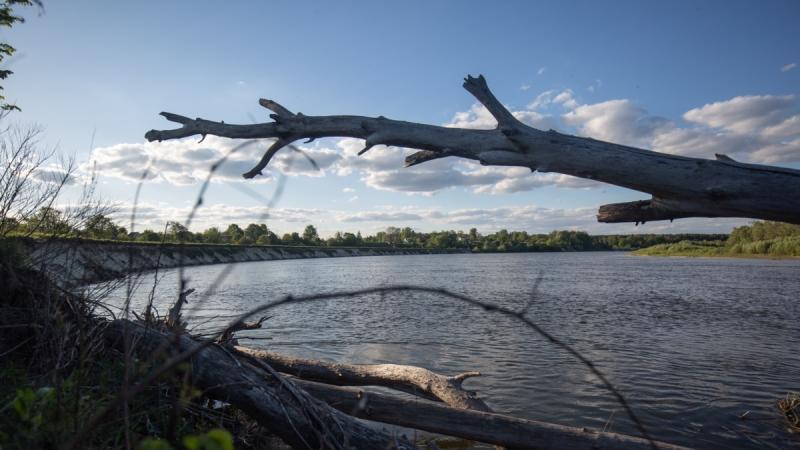 Незважаючи на забруднення річок Десна та Сейм, рівень якості води у Києві залишається в межах норми, повідомляє Міністерство екології.