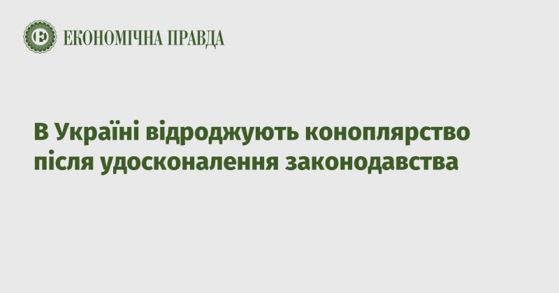 В Україні розпочинається новий етап розвитку коноплярства завдяки вдосконаленню законодавчих норм.