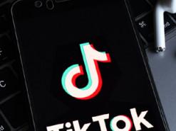 У Франції було подано судовий позов проти TikTok у зв'язку зі смертю двох підлітків.